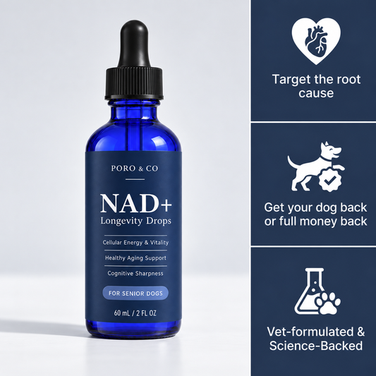 NAD+ Longevity Drops for Dogs