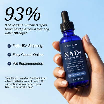 NAD+ Longevity Drops for Dogs