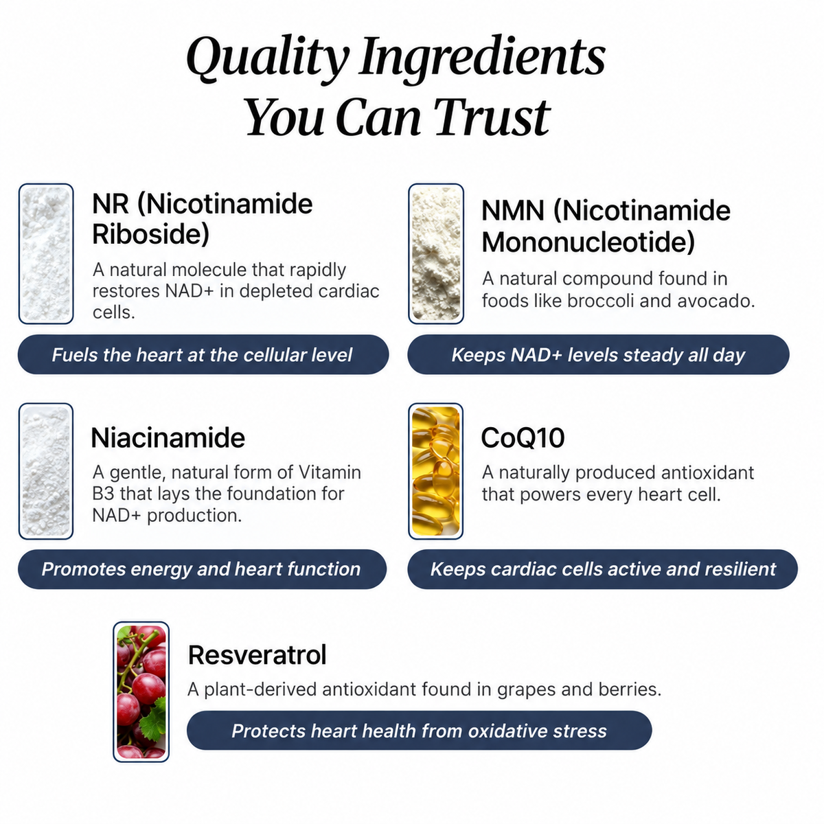 NAD+ Longevity Drops for Dogs
