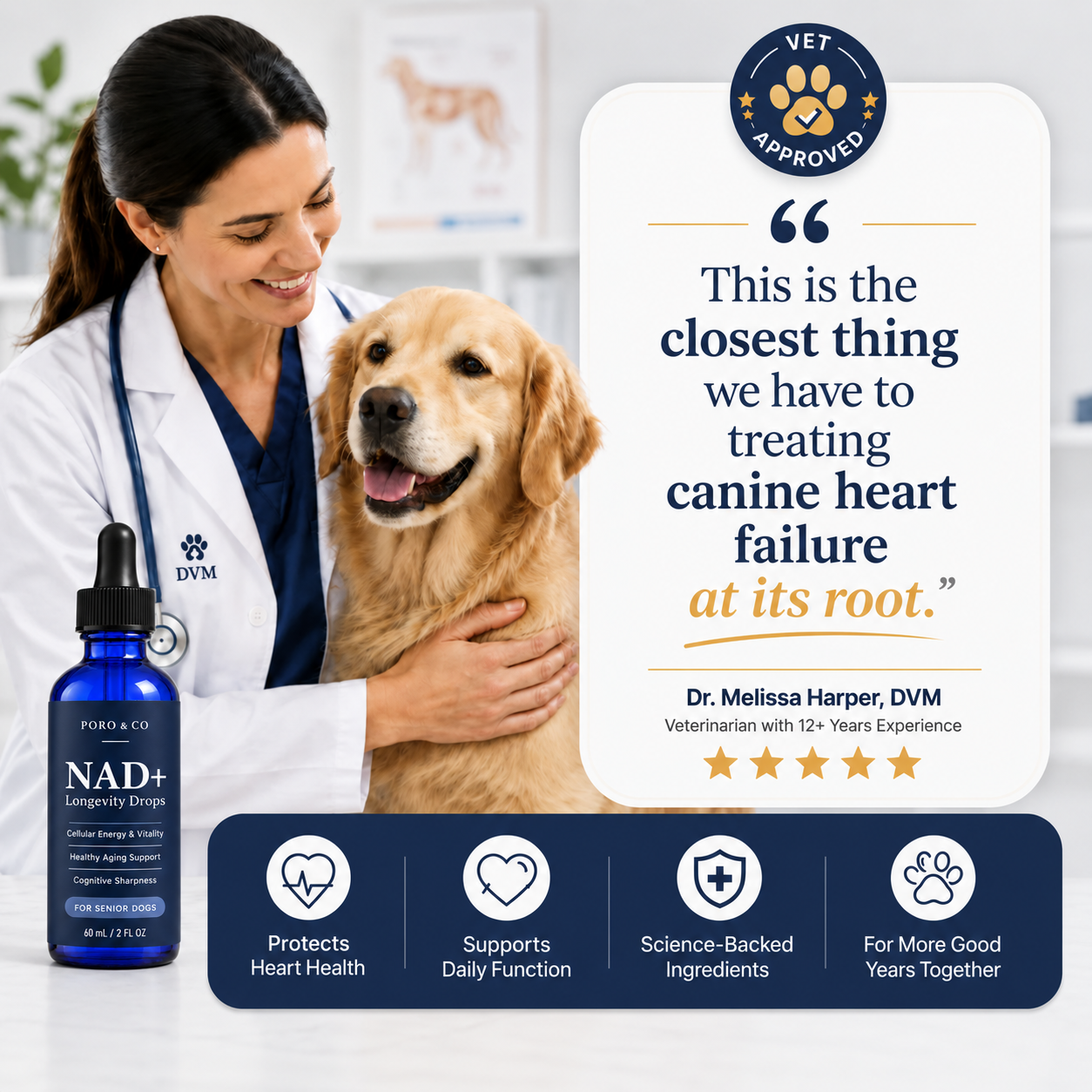 NAD+ Longevity Drops for Dogs