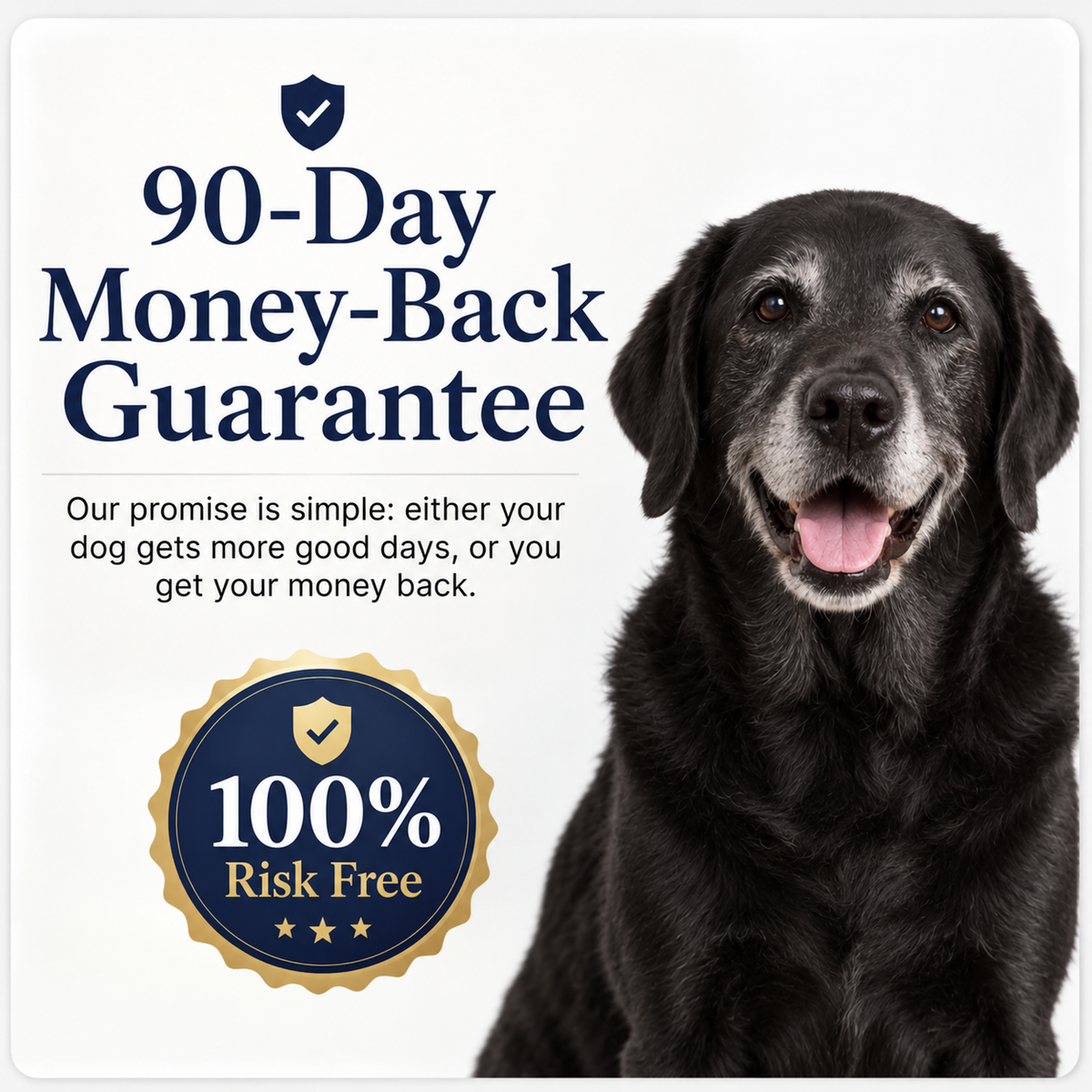 NAD+ Longevity Drops for Dogs