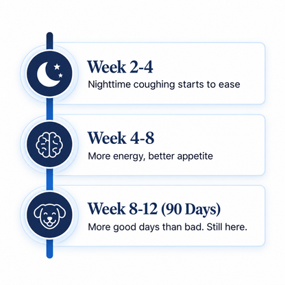 NAD+ Longevity Drops for Dogs