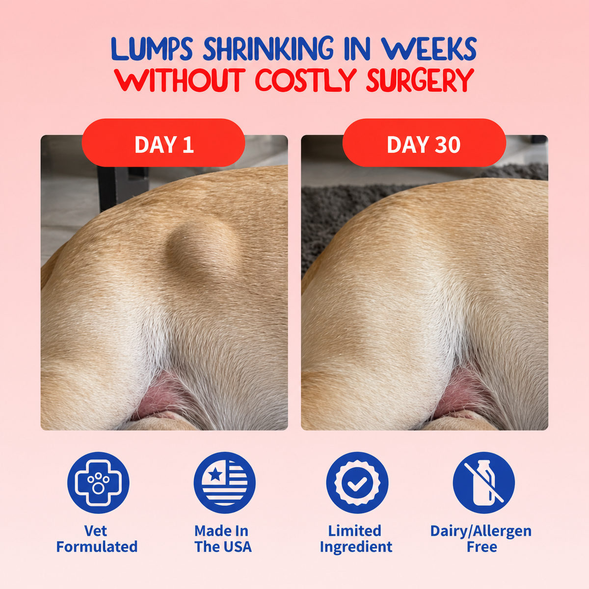 Turkey Tail+ for Dogs – Lumps & Bumps Support