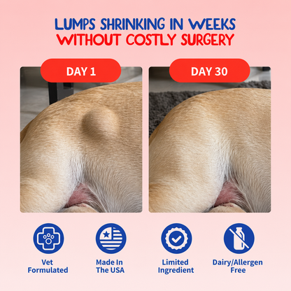Turkey Tail+ for Dogs – Lumps & Bumps Support