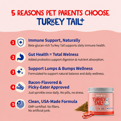 Turkey Tail+ for Dogs – Lumps & Bumps Support