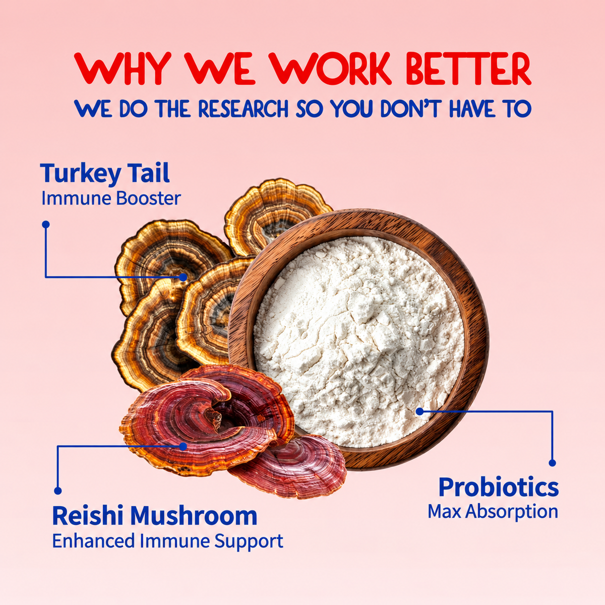 Turkey Tail+ for Dogs – Lumps & Bumps Support