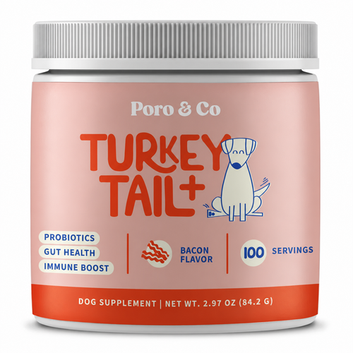 Turkey Tail+ for Dogs – Lumps & Bumps Support