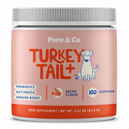 Turkey Tail+ for Dogs – Lumps & Bumps Support
