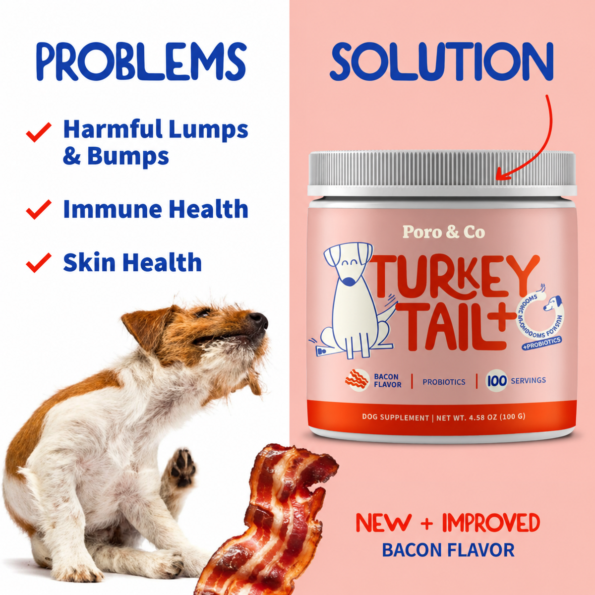 Turkey Tail+ for Dogs – Lumps & Bumps Support